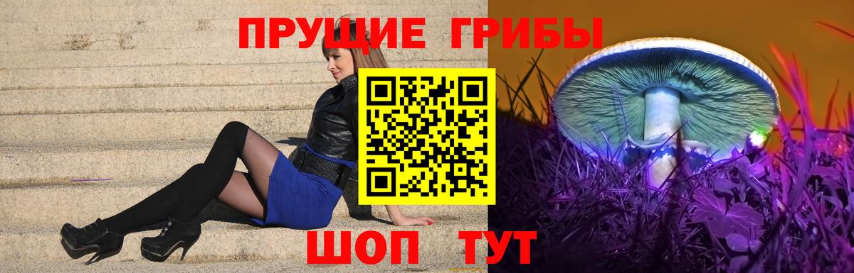 Волоколамск  Псилоцибиновые грибы MAGIC MUSHROOMS  Псилоцибиновые грибы Psilocybine cubensis  купить   Вход с VPN 